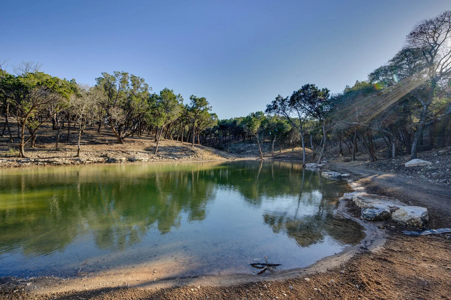 A calm lake surrounded by trees with some rocks along the shoreline, under a clear blue sky with sunlight coming from the right.