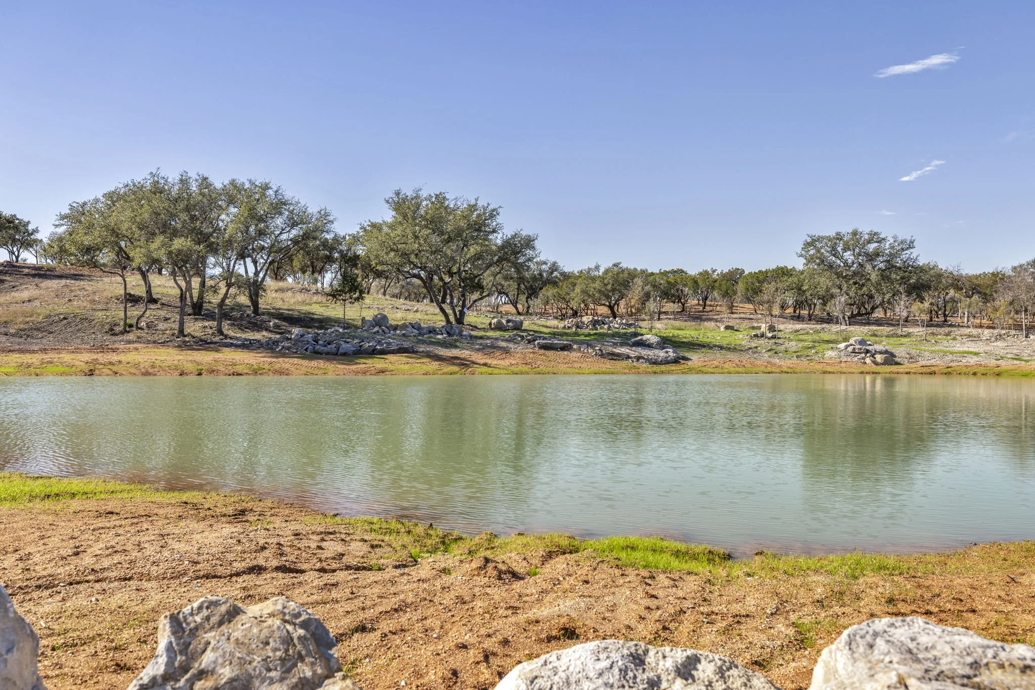 A calm lake with a grassy shore, surrounded by trees on a sunny day.