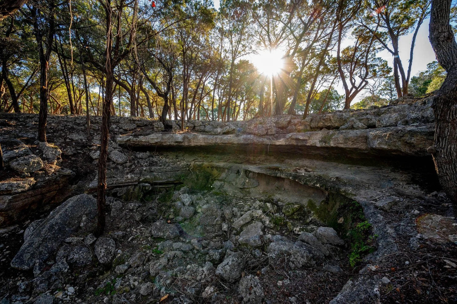 Sunlight filters through trees onto a rocky forest floor with layered rocks and sparse vegetation.