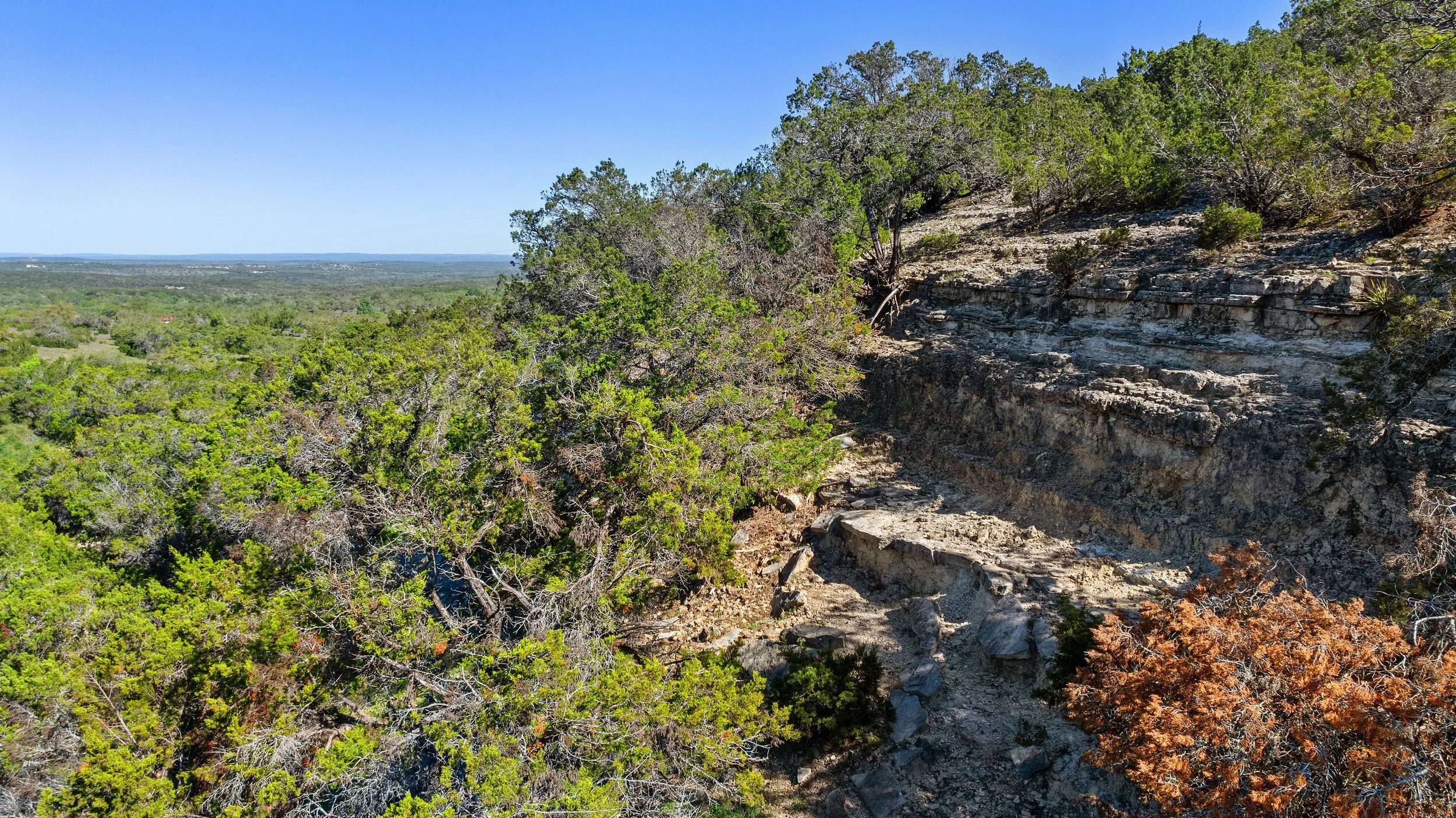 Dense green trees and bushes on a hillside with rocky terrain in the foreground under a clear blue sky.