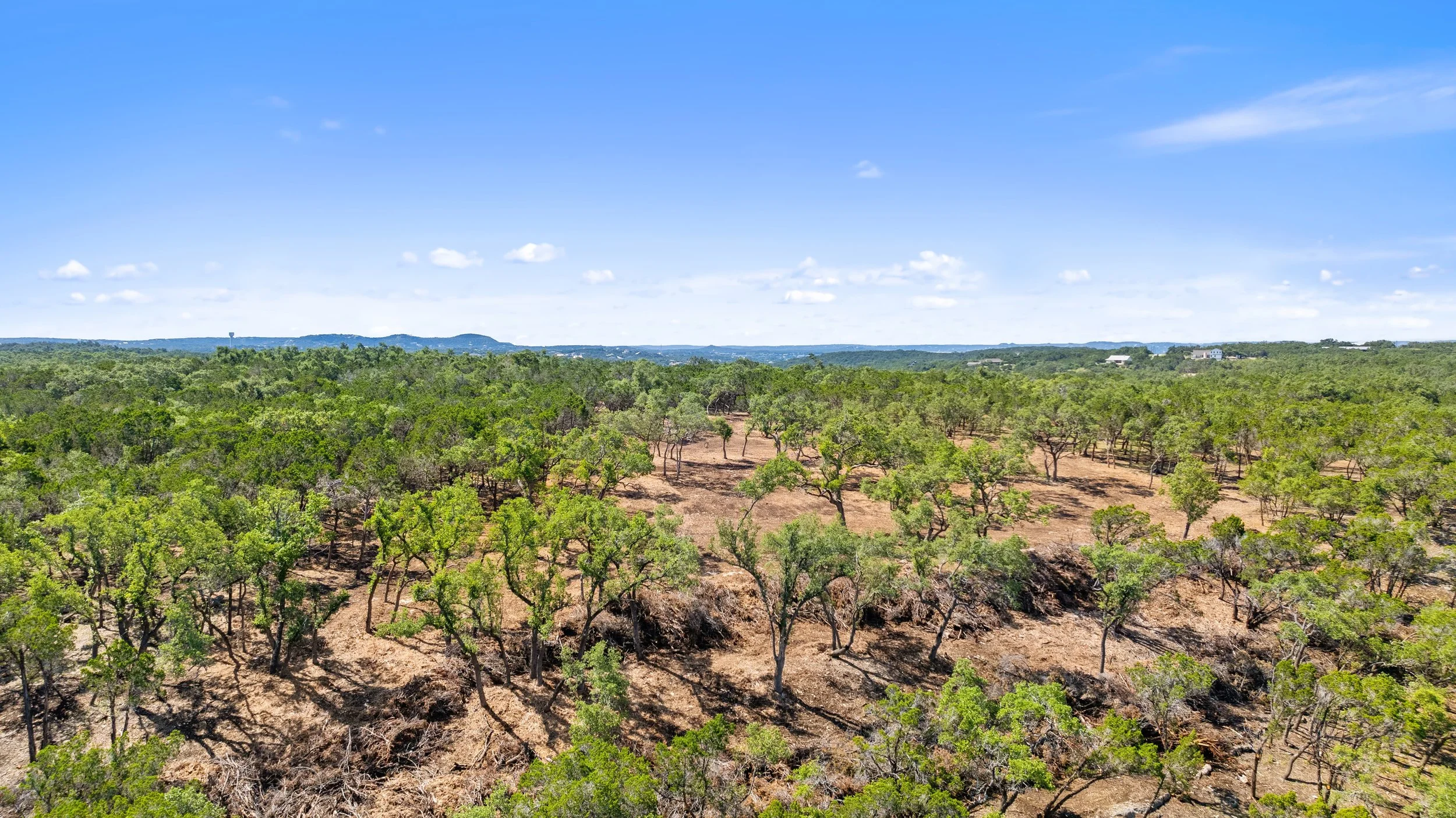 Aerial view of a green woodland with sparse trees and dry ground under a blue sky with scattered clouds.