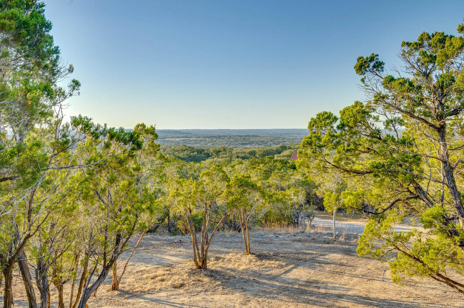 A scenic landscape with a dirt path, green trees, and a distant horizon under a clear blue sky.