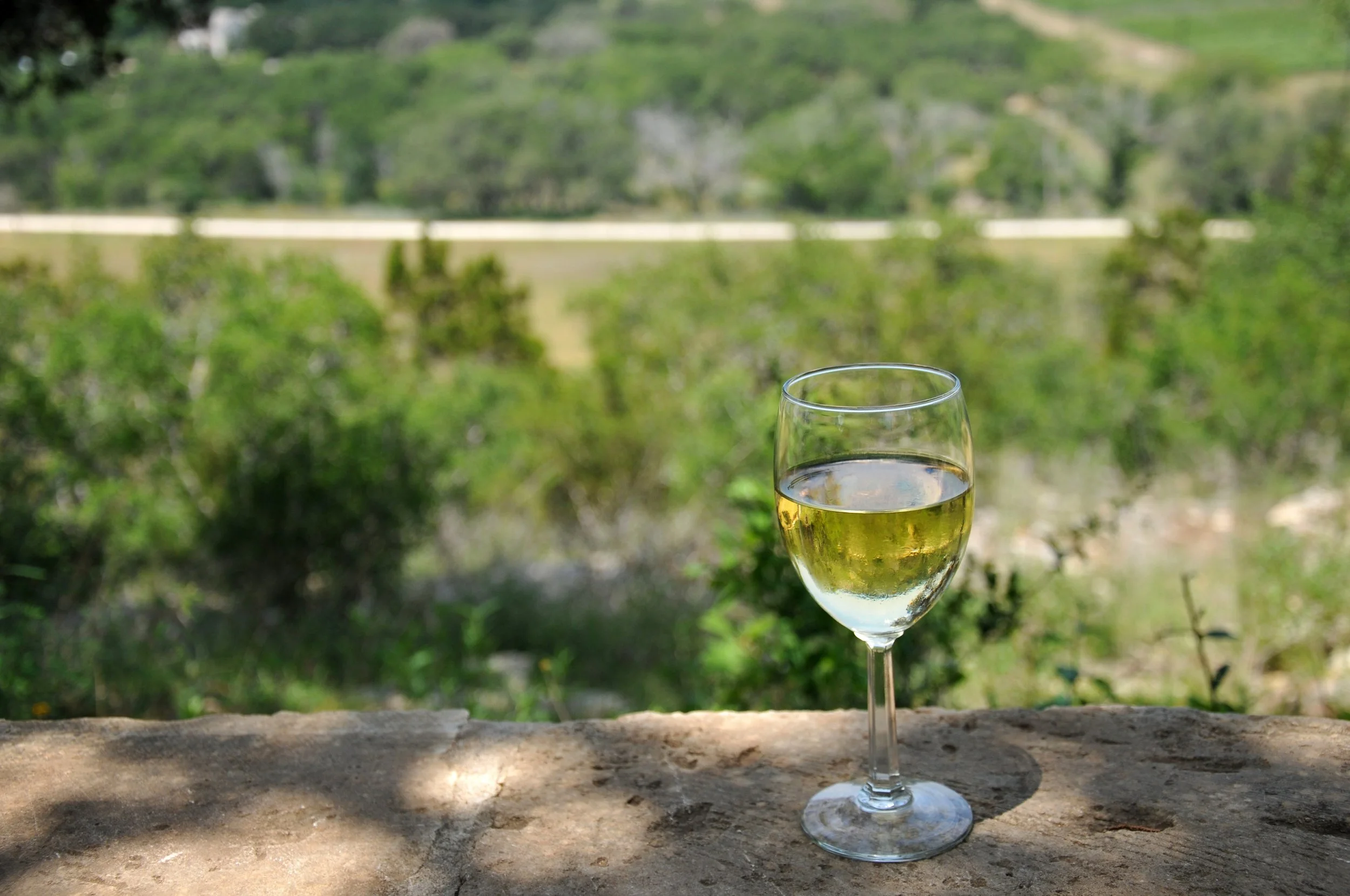 A glass of white wine resting on a limestone ledge overlooking a lush Texas Hill Country valley with rolling green hills and cedar trees in the background.
